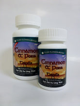 Load image into Gallery viewer, Cinnamon &amp; Poria Teapills (Gui Zhi Fu Ling Wan)
